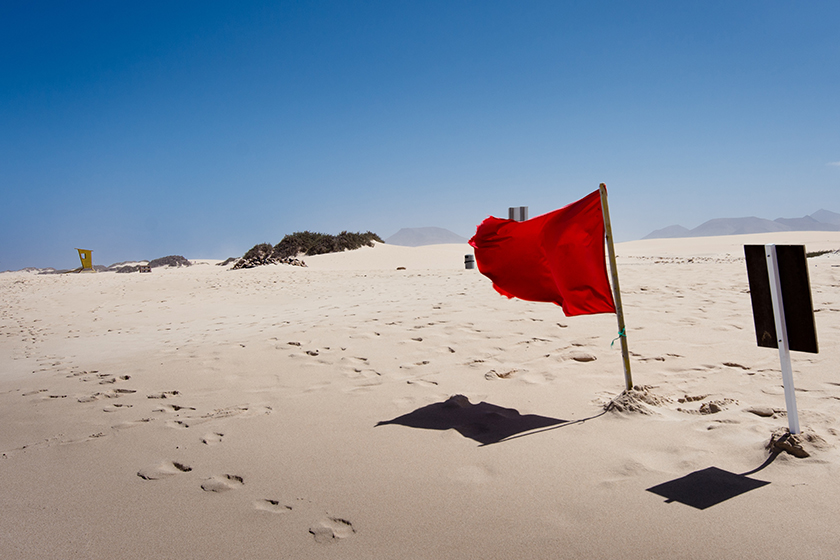 Artigo_redflags_